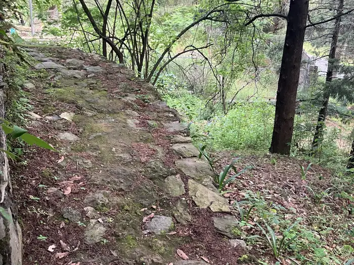 A dry-stone retaining wall curving along a forest slope.