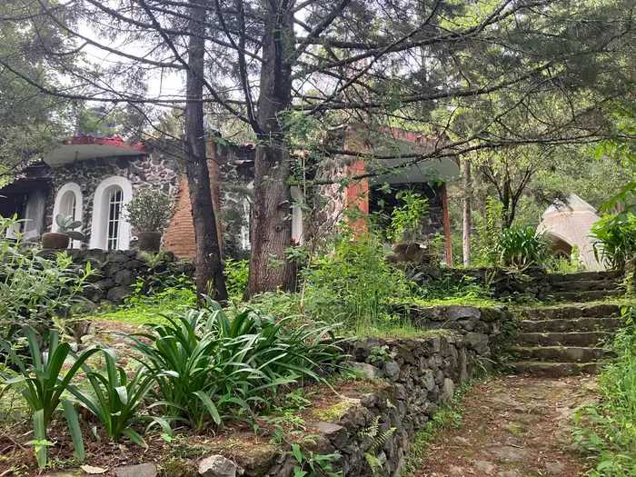 Stone steps rising through planting towards a building among the trees.