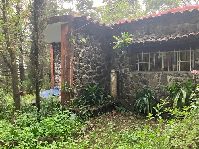 A long stone building with a tiled roof and windows facing the forest.